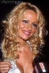 Pamela Anderson 52  photo célébrité