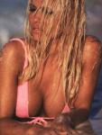  Pamela Anderson 63  photo célébrité