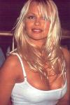  Pamela Anderson 43  photo célébrité