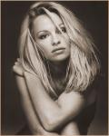  Pamela Anderson 28  photo célébrité
