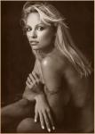  Pamela Anderson 23  photo célébrité
