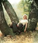  Marilyn Monroe 12  photo célébrité