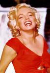  Marilyn Monroe 14  celebrite de                   Calypso54 provenant de Marilyn Monroe