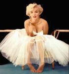  Marilyn Monroe 23  celebrite provenant de Marilyn Monroe