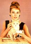  Audrey Hepburn d10  photo célébrité