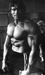  Arnold Schwarzenegger 306  photo célébrité