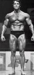 Arnold Schwarzenegger 990  photo célébrité