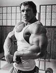  Arnold Schwarzenegger 982  celebrite de                   Adéline70 provenant de Arnold Schwarzenegger