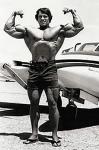  Arnold Schwarzenegger 981  photo célébrité