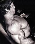  Arnold Schwarzenegger 979  photo célébrité