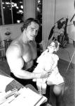  Arnold Schwarzenegger 972  celebrite provenant de Arnold Schwarzenegger