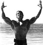  Arnold Schwarzenegger 96  photo célébrité