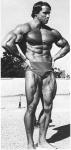  Arnold Schwarzenegger 957  photo célébrité