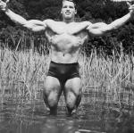  Arnold Schwarzenegger 956  photo célébrité