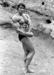  Arnold Schwarzenegger 952  photo célébrité
