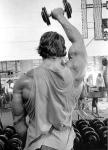  Arnold Schwarzenegger 951  photo célébrité