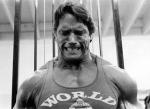  Arnold Schwarzenegger 945  photo célébrité
