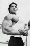  Arnold Schwarzenegger 937  photo célébrité
