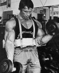  Arnold Schwarzenegger 917  photo célébrité