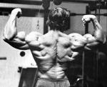  Arnold Schwarzenegger 914  photo célébrité