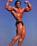  Arnold Schwarzenegger 901  photo célébrité