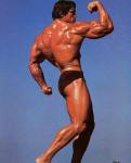  Arnold Schwarzenegger 899  photo célébrité