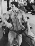  Arnold Schwarzenegger 889  photo célébrité