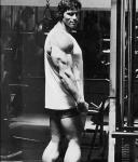  Arnold Schwarzenegger 882  photo célébrité