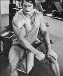  Arnold Schwarzenegger 880  celebrite de                   Caralie47 provenant de Arnold Schwarzenegger