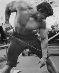  Arnold Schwarzenegger 878  photo célébrité