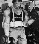  Arnold Schwarzenegger 877  photo célébrité