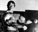  Arnold Schwarzenegger 830  photo célébrité