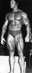  Arnold Schwarzenegger 801  photo célébrité
