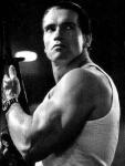  Arnold Schwarzenegger 768  photo célébrité