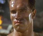  Arnold Schwarzenegger 761  photo célébrité