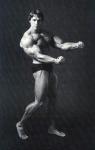  Arnold Schwarzenegger 733  photo célébrité