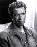  Arnold Schwarzenegger 714  photo célébrité