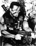  Arnold Schwarzenegger 712  photo célébrité