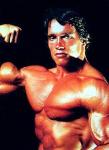  Arnold Schwarzenegger 706  photo célébrité
