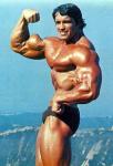  Arnold Schwarzenegger 697  photo célébrité