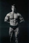 Arnold Schwarzenegger 686  photo célébrité