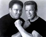  Arnold Schwarzenegger 675  celebrite de                   Camélia17 provenant de Arnold Schwarzenegger