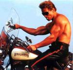  Arnold Schwarzenegger 646  photo célébrité