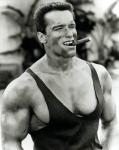  Arnold Schwarzenegger 641  photo célébrité