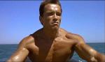  Arnold Schwarzenegger 630  celebrite provenant de Arnold Schwarzenegger