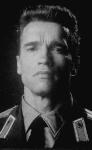  Arnold Schwarzenegger 616  photo célébrité