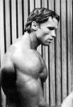  Arnold Schwarzenegger 605  photo célébrité