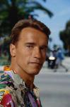  Arnold Schwarzenegger 599  photo célébrité