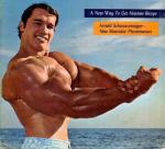  Arnold Schwarzenegger 541  photo célébrité