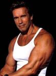  Arnold Schwarzenegger 509  celebrite de                   Adene</b>58 provenant de Arnold Schwarzenegger